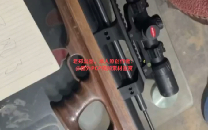 国外合法拍摄pcp板球气步枪请勿模仿