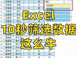 Download Video: 这才是Excel筛选的高级方法！！！