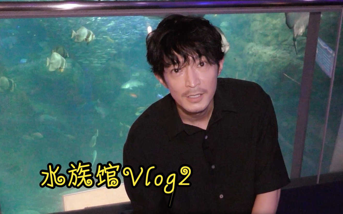 【津田健次郎】新江之岛水族馆的vlog②~撸撸海豹和鲨鱼哔哩哔哩bilibili