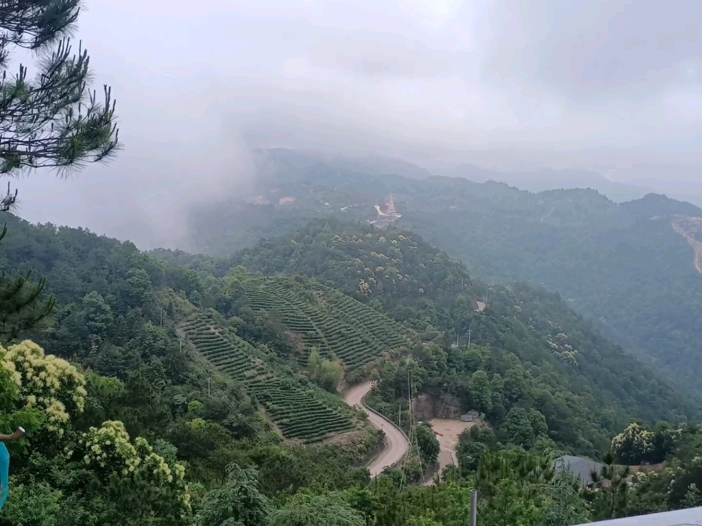 活動 梅州高觀音山