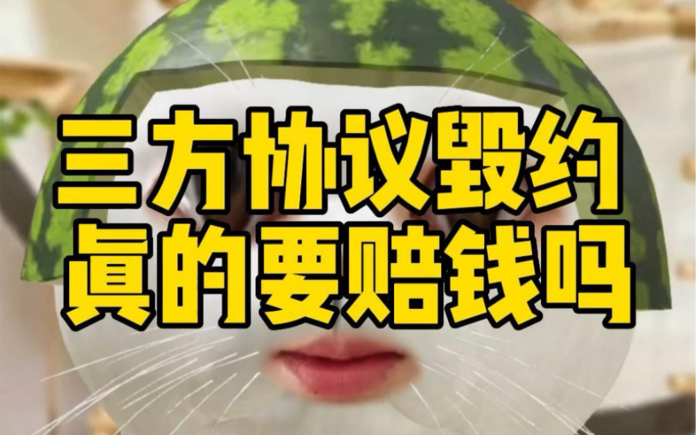 三方协议毁约真的要赔钱吗哔哩哔哩bilibili