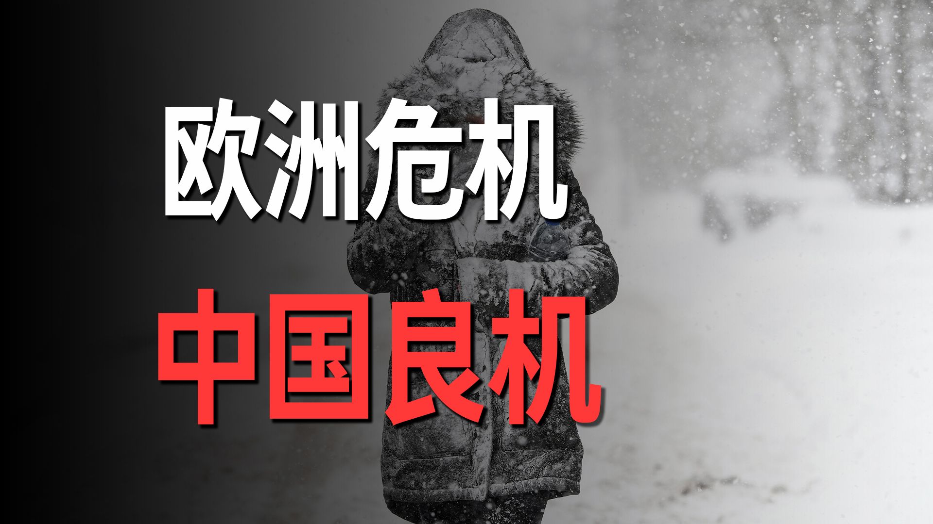 中国市场吸引力太强,欧洲企业正排队进驻中国哔哩哔哩bilibili