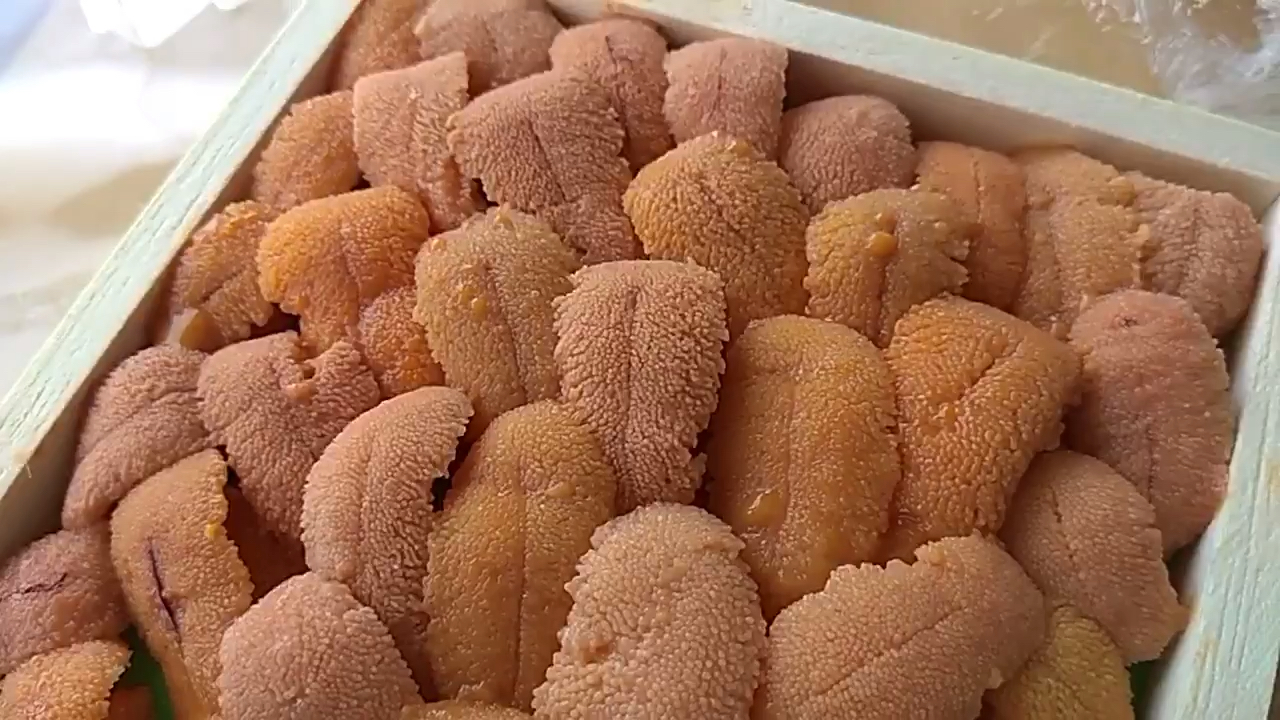 【北海道海胆礼盒】小川海产株式会社出品 大海胆礼包_哔哩哔哩_bili