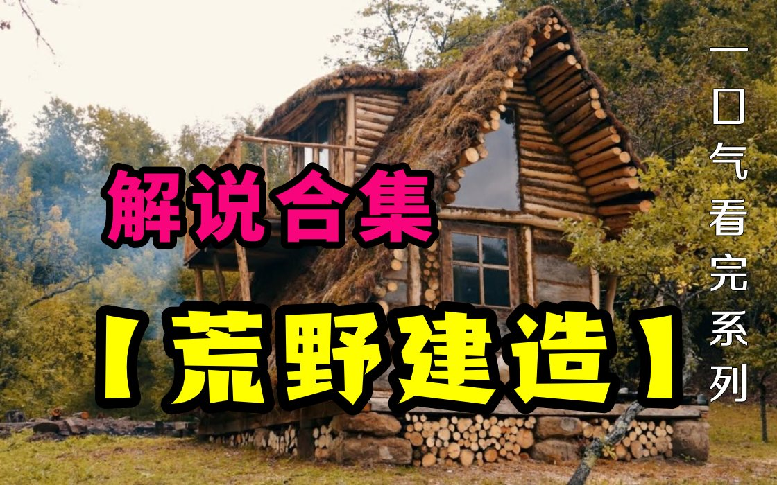 【荒野建造】全集/庇护所/荒野求生/荒野独居哔哩哔哩bilibili