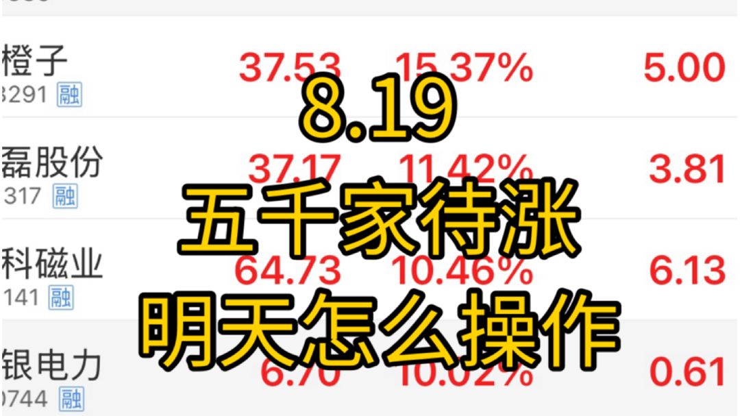 又是5000家待涨！全球科技都崩了，老登科技都惨，泥沙俱下之下，明天到底该怎么操作？到底什么时候才有好的行情！