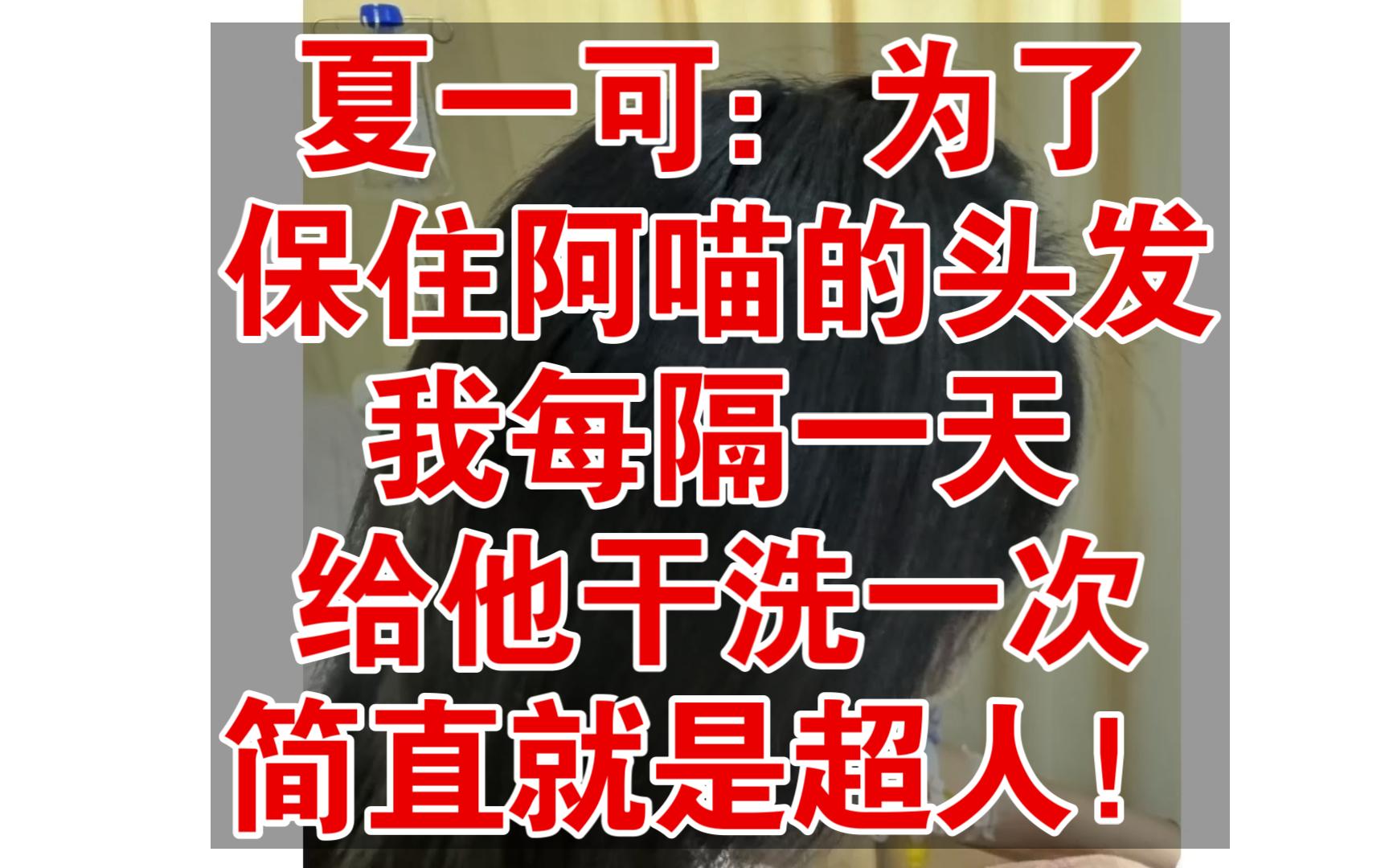 夏一可:为了保住阿喵的头发,我每隔一天给他干洗一次,简直就是超人!网络游戏热门视频