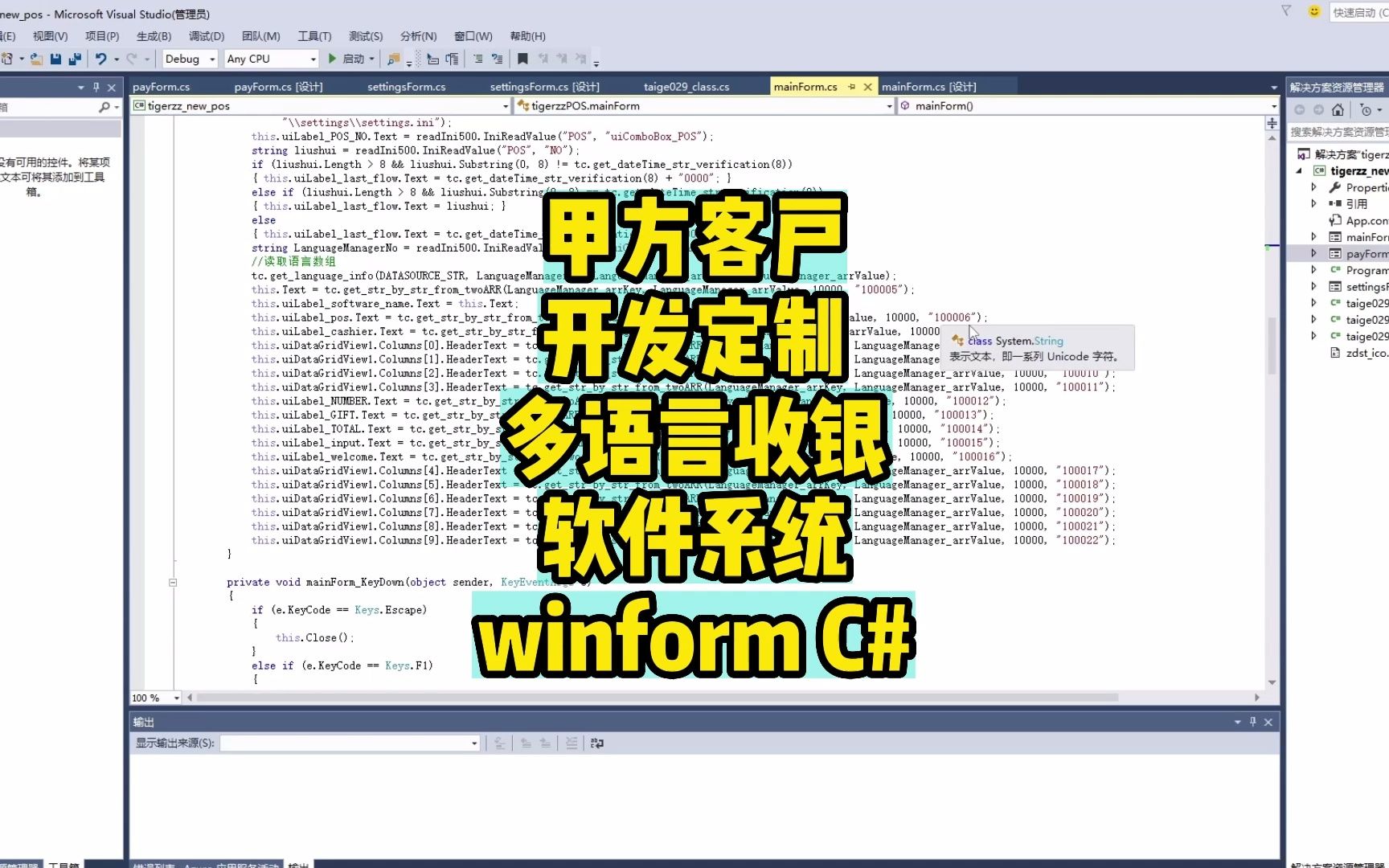 甲方客户开发定制多语言收银软件系统winform C#哔哩哔哩bilibili