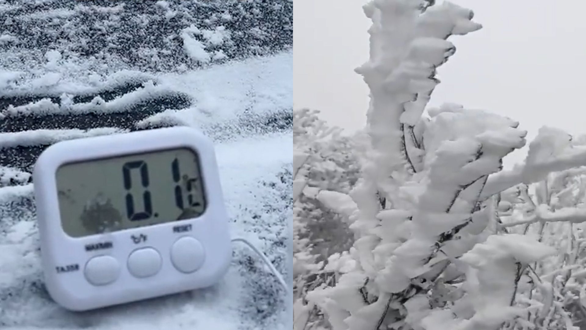 [图]广东下雪了！清远实测0.1℃ 山间一秒变“冰雪世界”枝头挂白