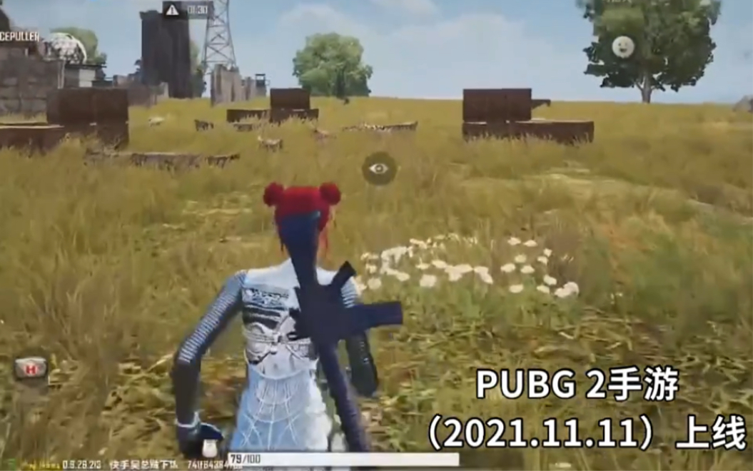 [图]谁还记得PUBG LITE（端游）坚持了两年最终没逃过停服的命运