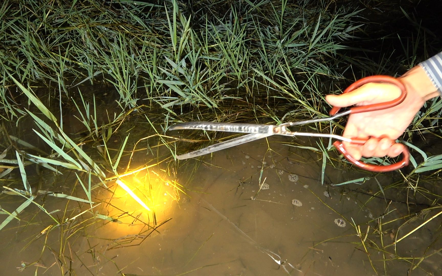 農村抓魚人的快樂生活,河溝裡很多黃鱔,用夾子抓得好開心_嗶哩嗶哩