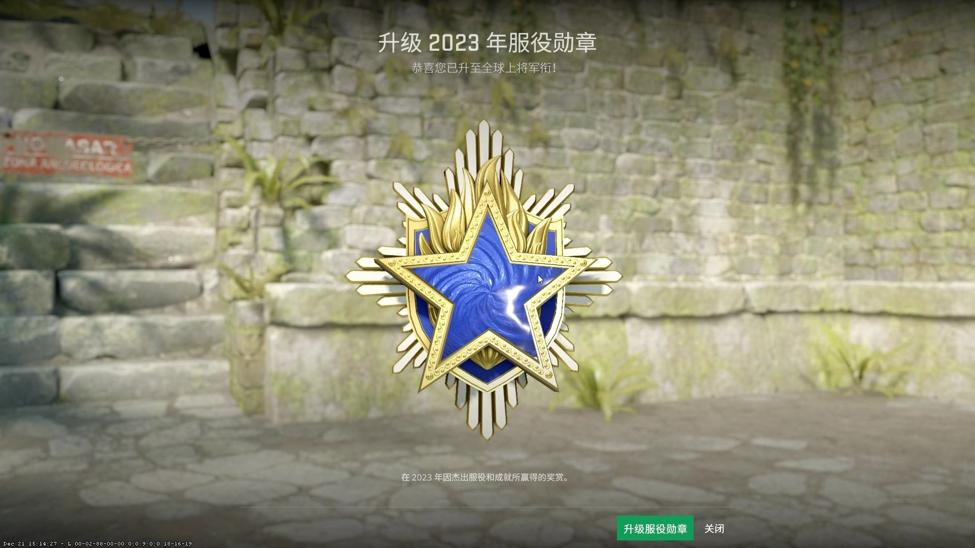 csgo2020服役勋章图片