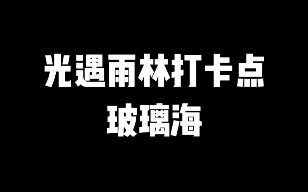 光遇雨林打卡点玻璃海网络游戏热门视频