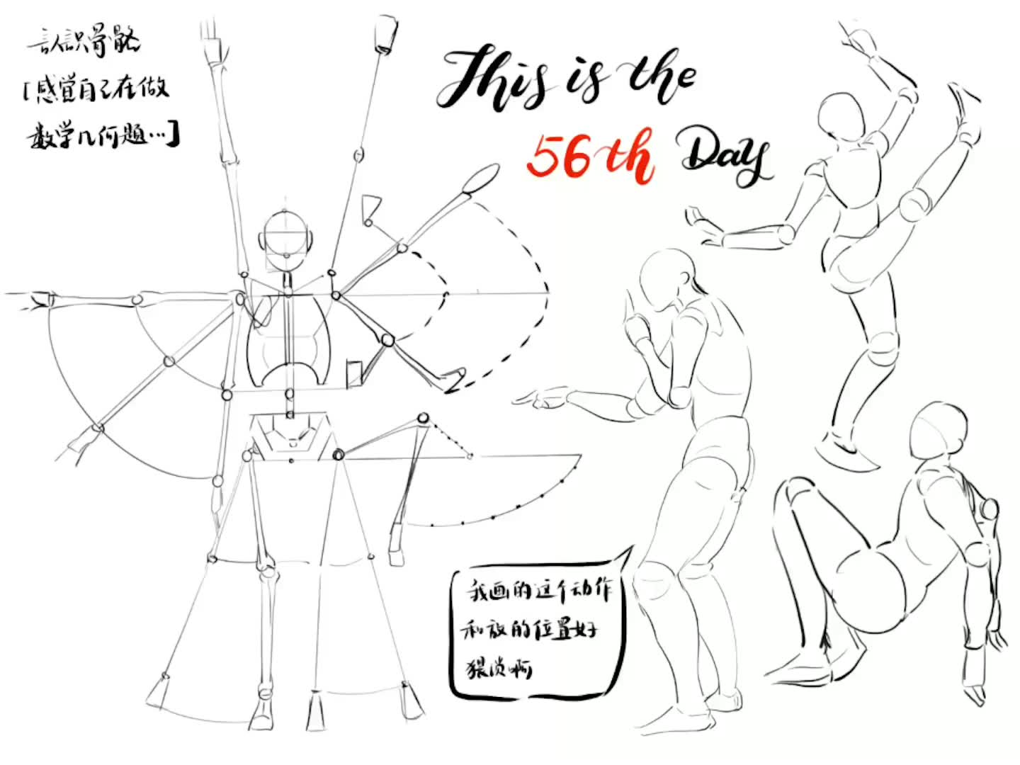 【绘画】手残党零基础自学练画人体结构练习第五十六天人体骨骼哔哩哔哩bilibili