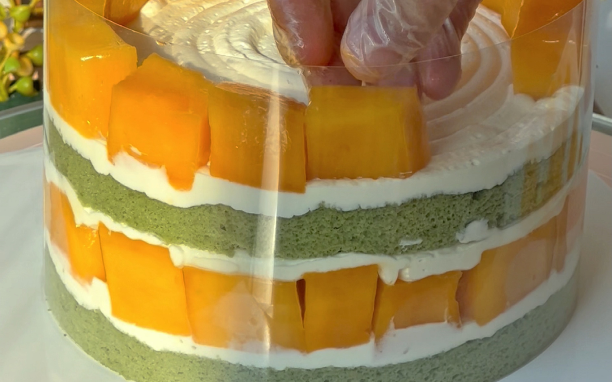 芒果裸蛋糕 简约版 烘焙小能手|摄影|产品摄影|peper - 原创作品 - 站酷 (ZCOOL)