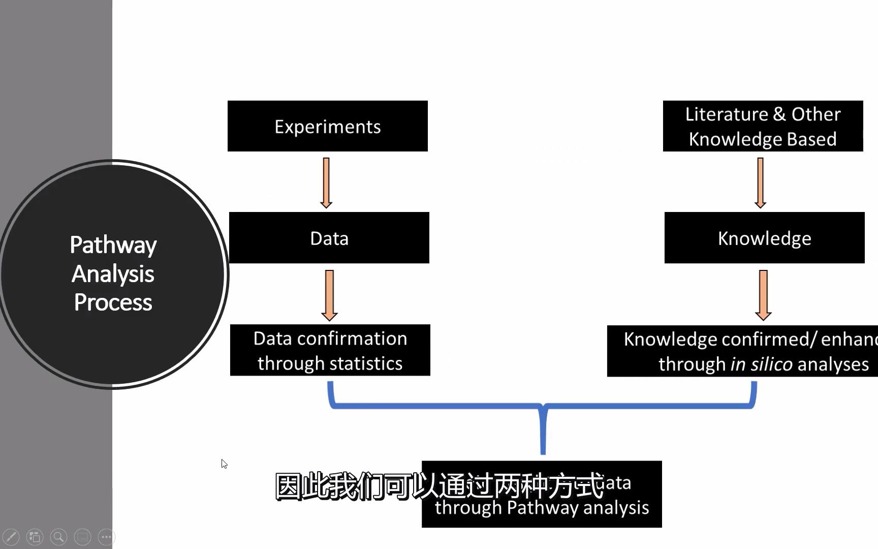 一个视频让你明白什么是通路分析哔哩哔哩bilibili