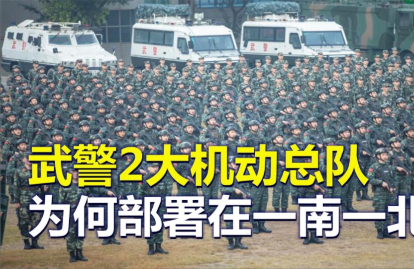 武警机动支队编制图片