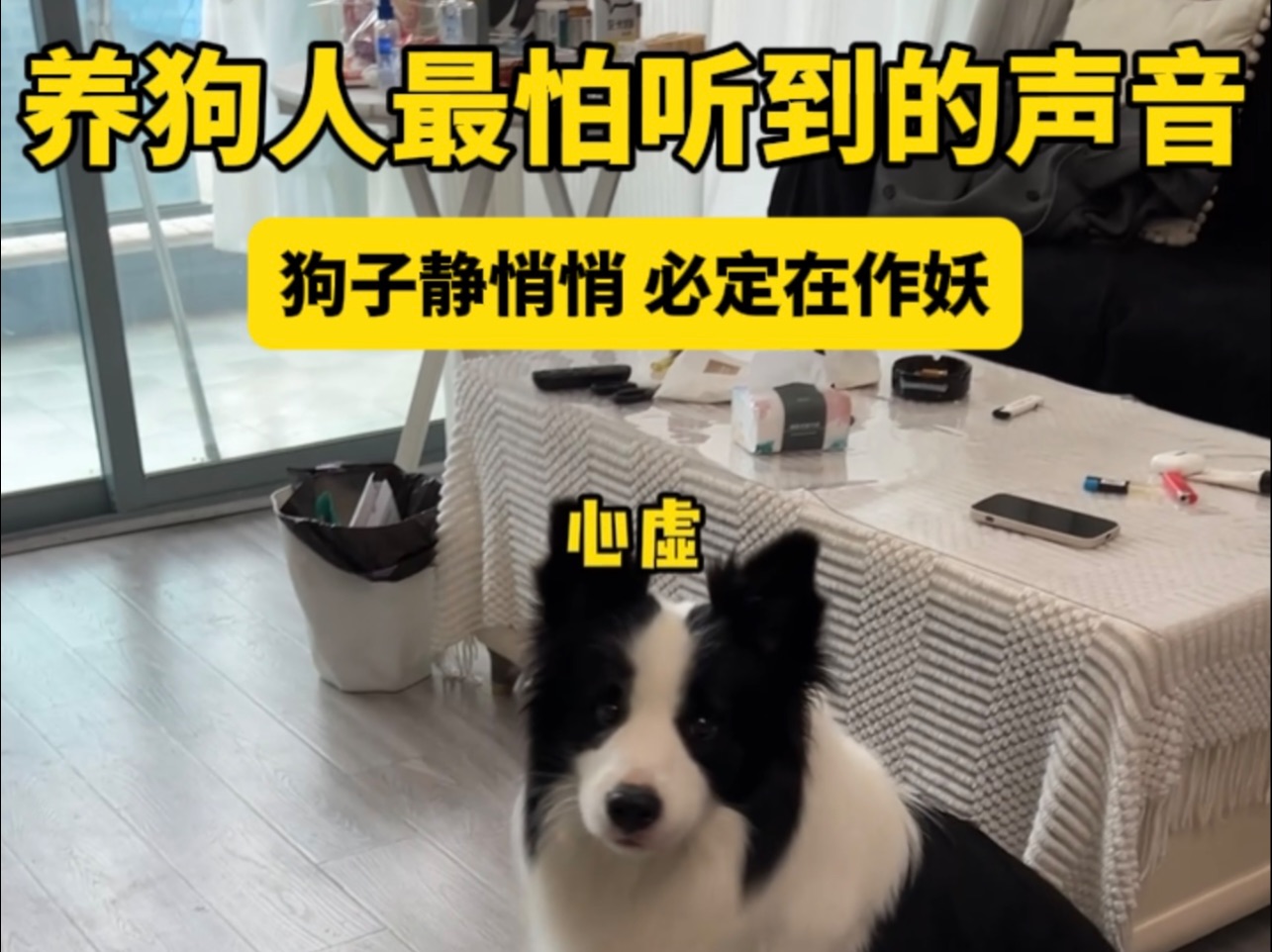养狗人最怕听到的声音