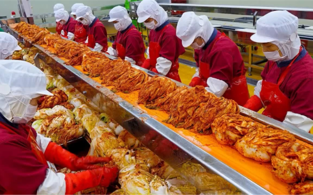 韩国人绝不少的韩式泡菜!工厂化制作过程!