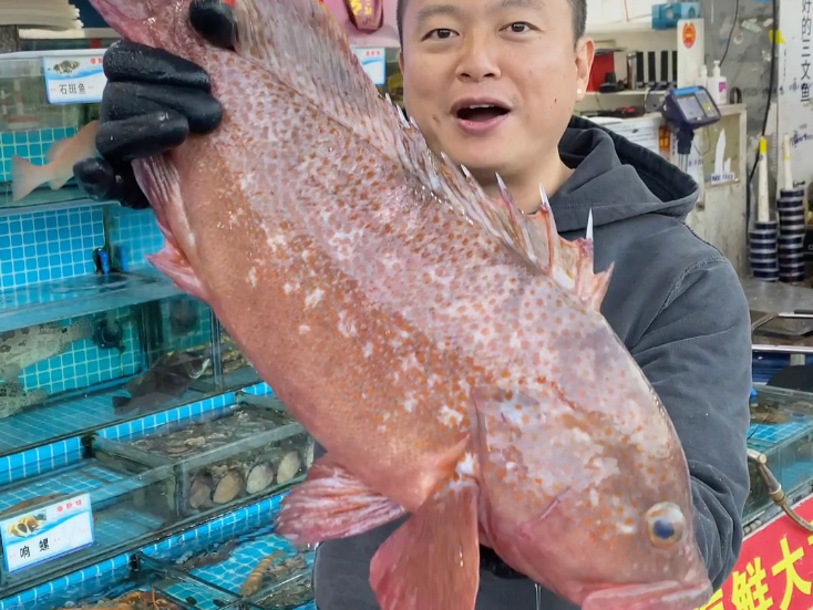 香港四大鱼王究竟谁才是真正的鱼王之王?!体重七斤八两海红斑,做个酸菜鱼尝尝!-琼斯爱生活-琼斯爱生活-哔哩哔哩视频