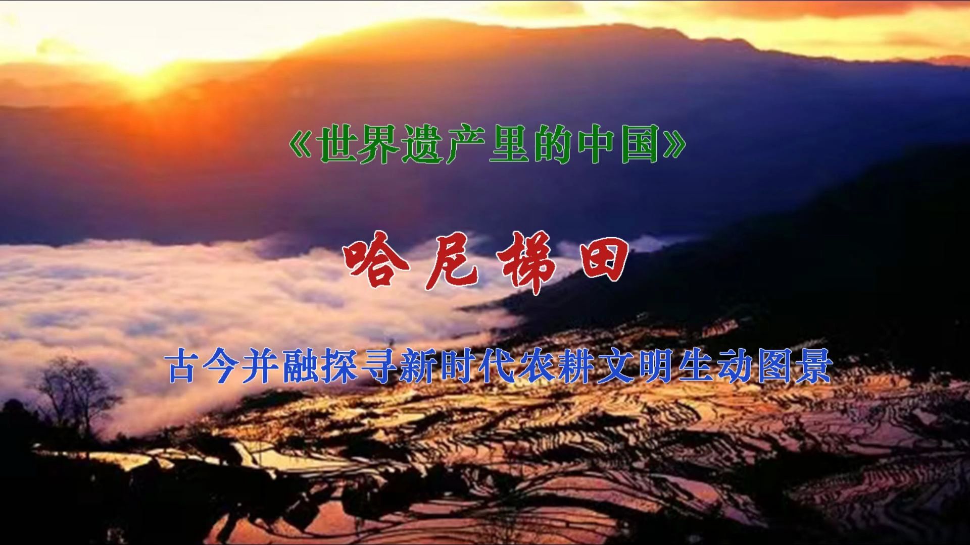 [图]古今并融探寻新时代农耕文明生动图景#中国式现代化与建设中华民族现代文明视听传播研究#系列节目《世界遗产里的中国》#《哈尼梯田》