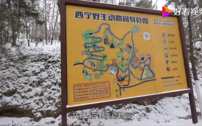 西宁 青藏高原野生动物园