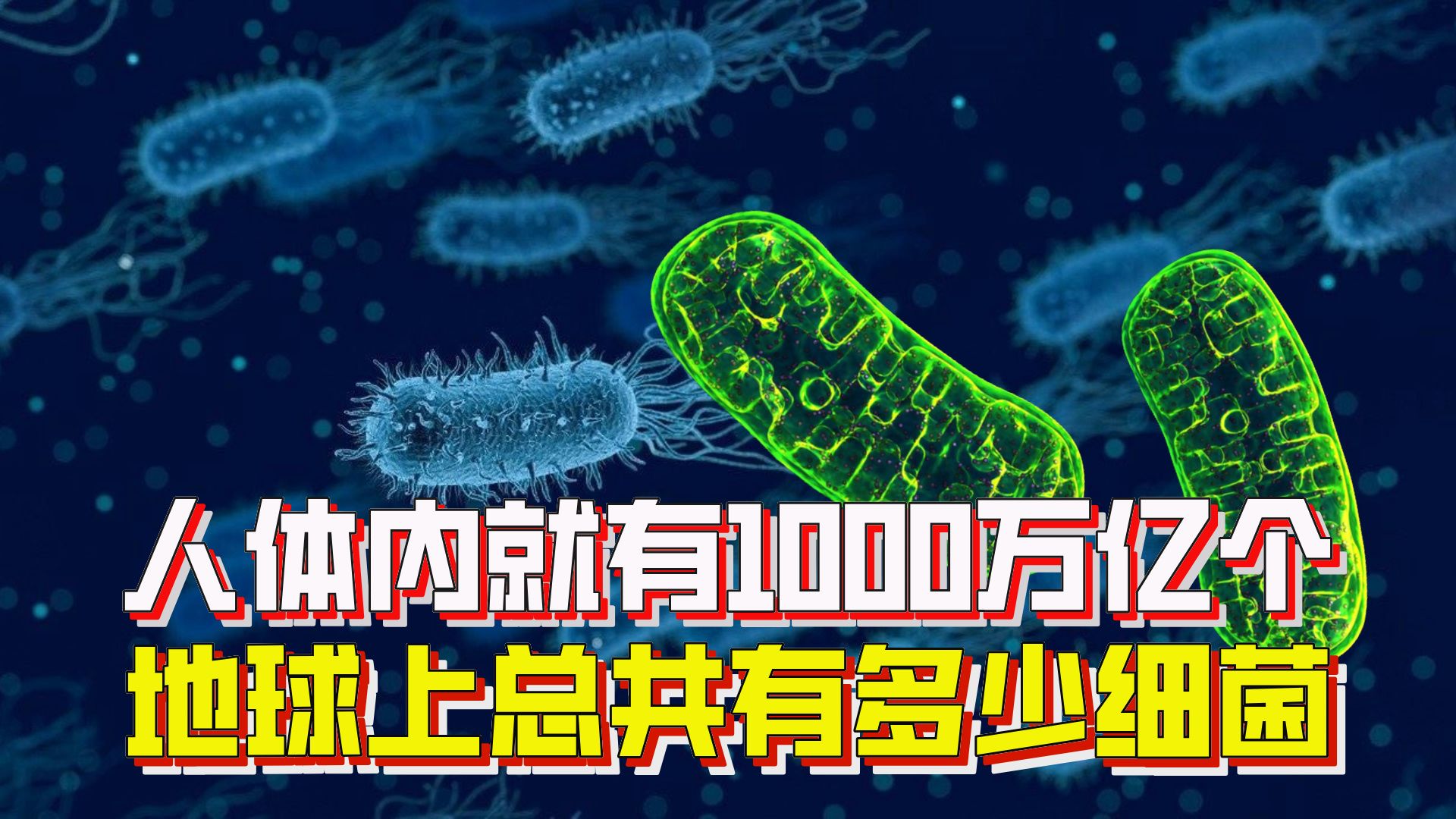 为什么微生物在地球上如此重要？