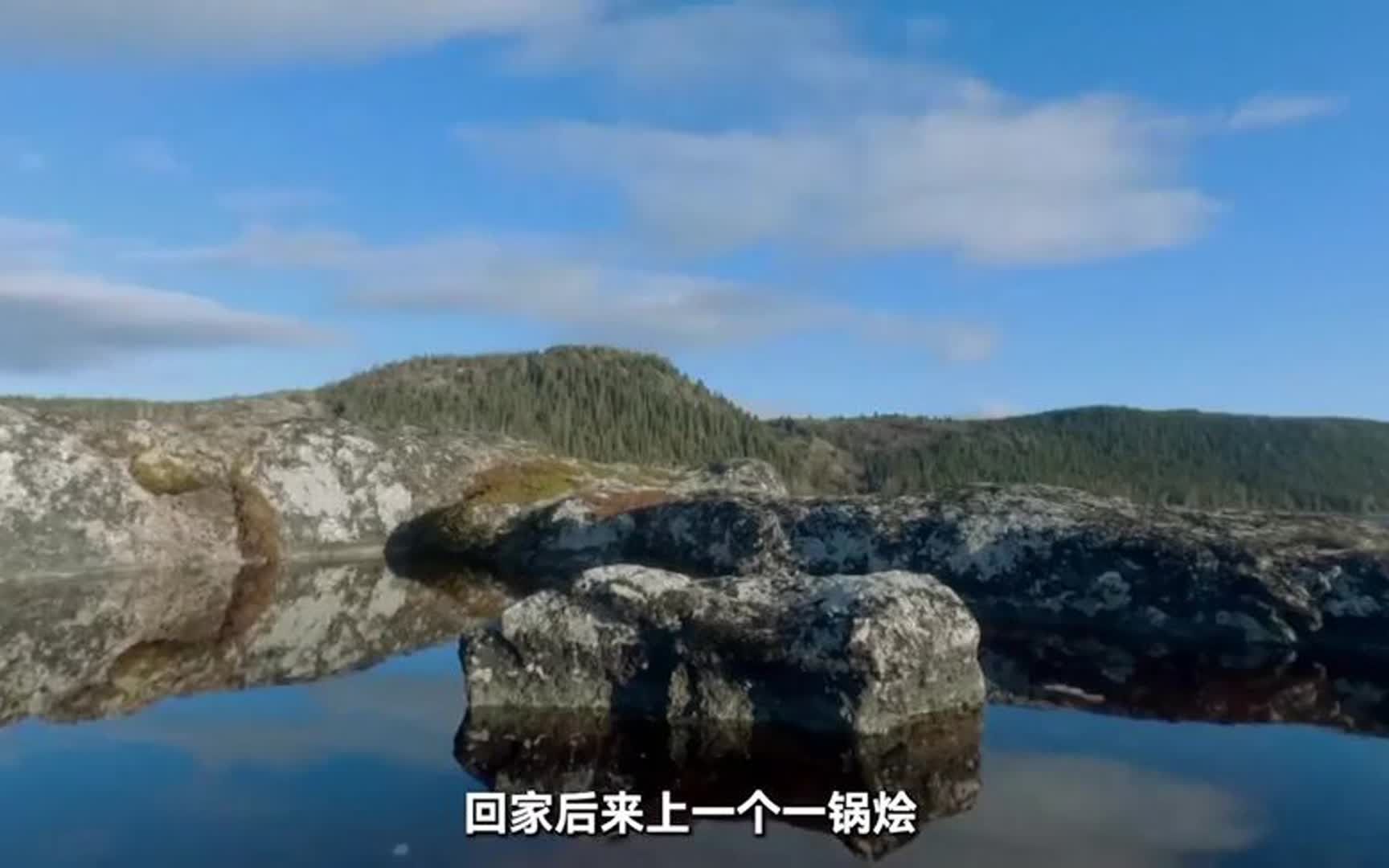 30分钟看完荒野独居最新番外篇:大佬丛林狩猎,妹子搞荒野养殖!哔哩哔哩bilibili