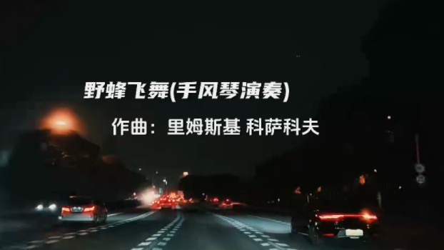 野蜂飞舞(手风琴演奏)