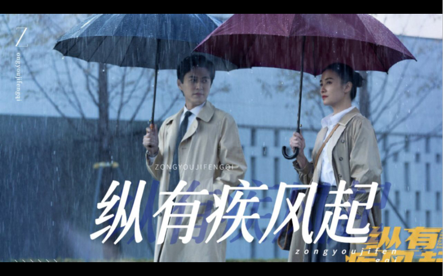 电视剧《纵有疾风起》分享