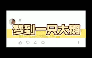 Descargar video: 梦到一只大鹅往我床上撒尿