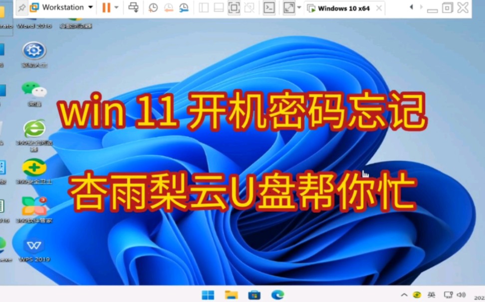 [图]win 11 开机密码忘记 杏雨梨云U盘帮你忙