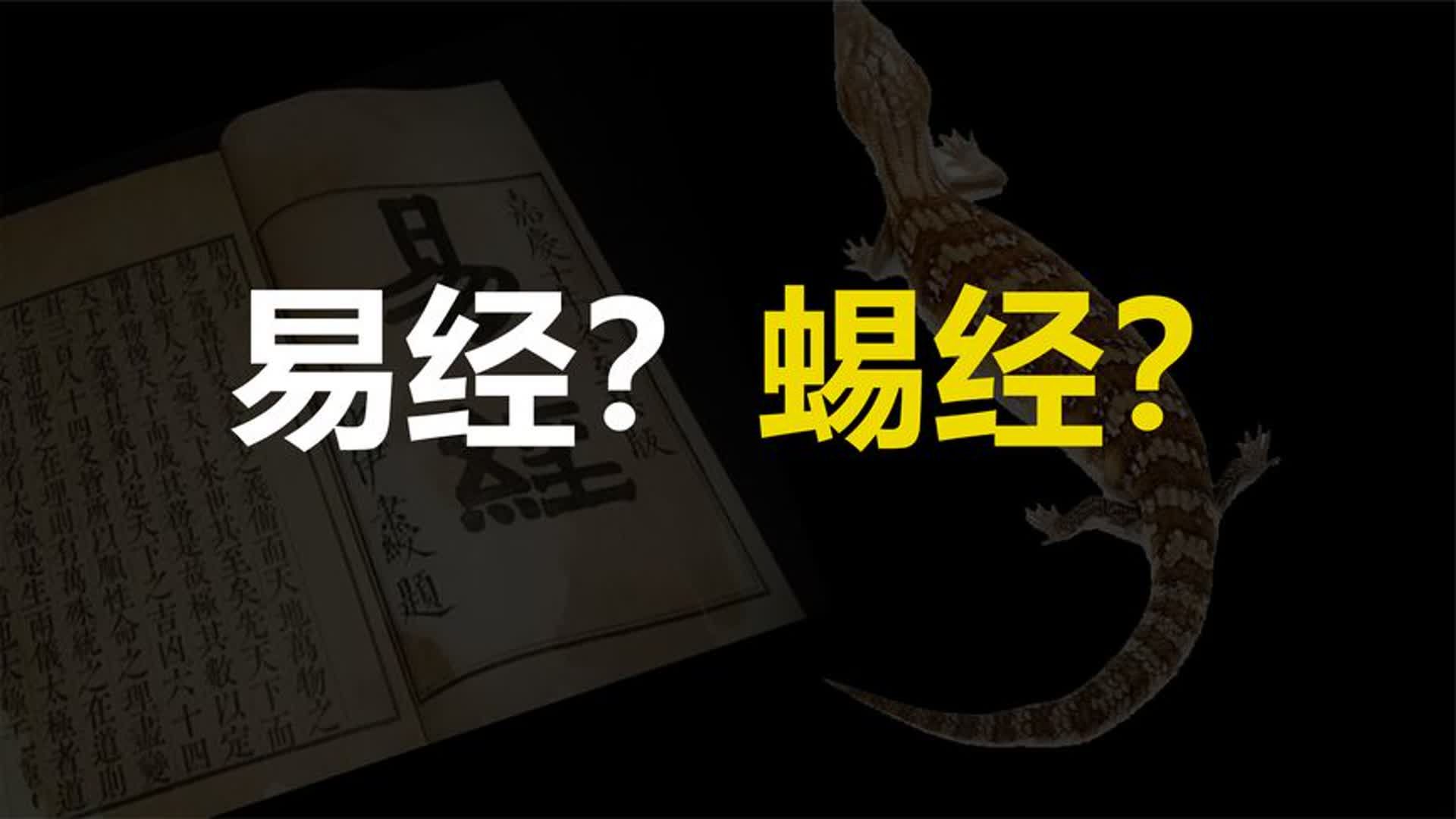 易经是蜴经吗?它蕴含了哪些神奇知识?古文字揭示什么诡异内容?哔哩哔哩bilibili