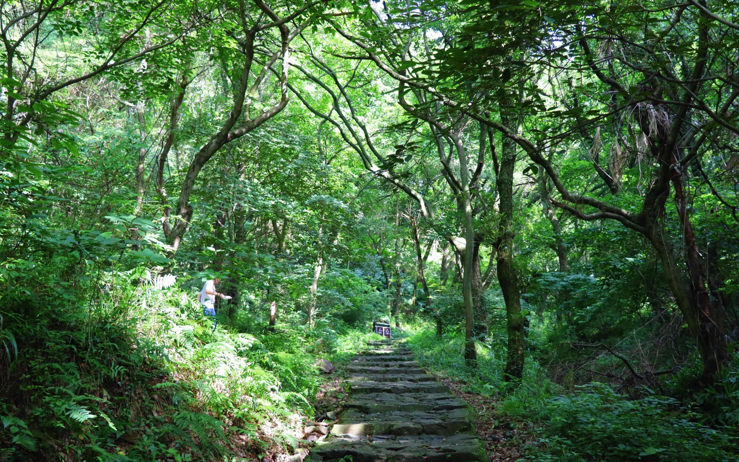 北山游步道图片