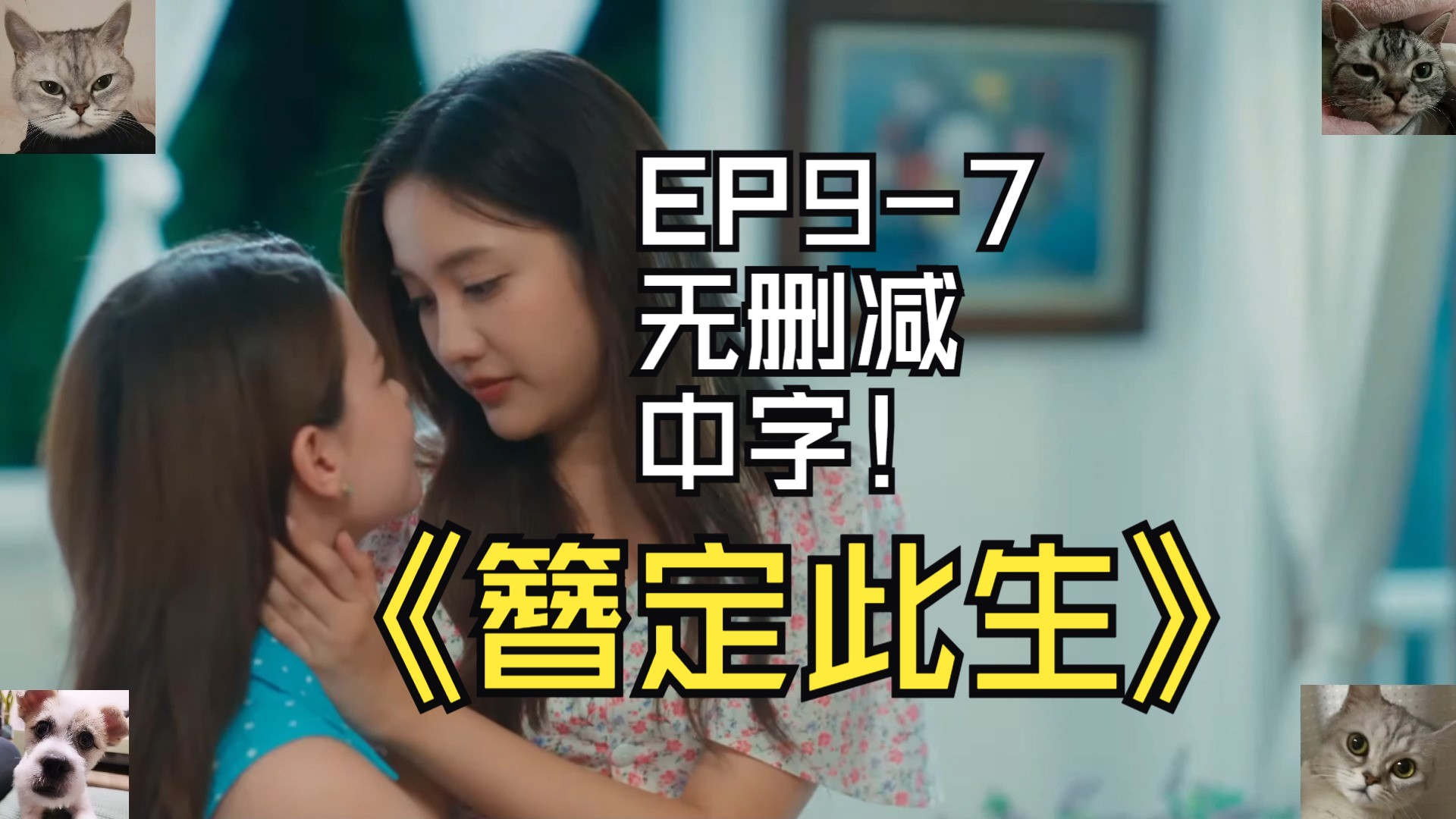 簪定此生EP97无删减中字哔哩哔哩bilibili