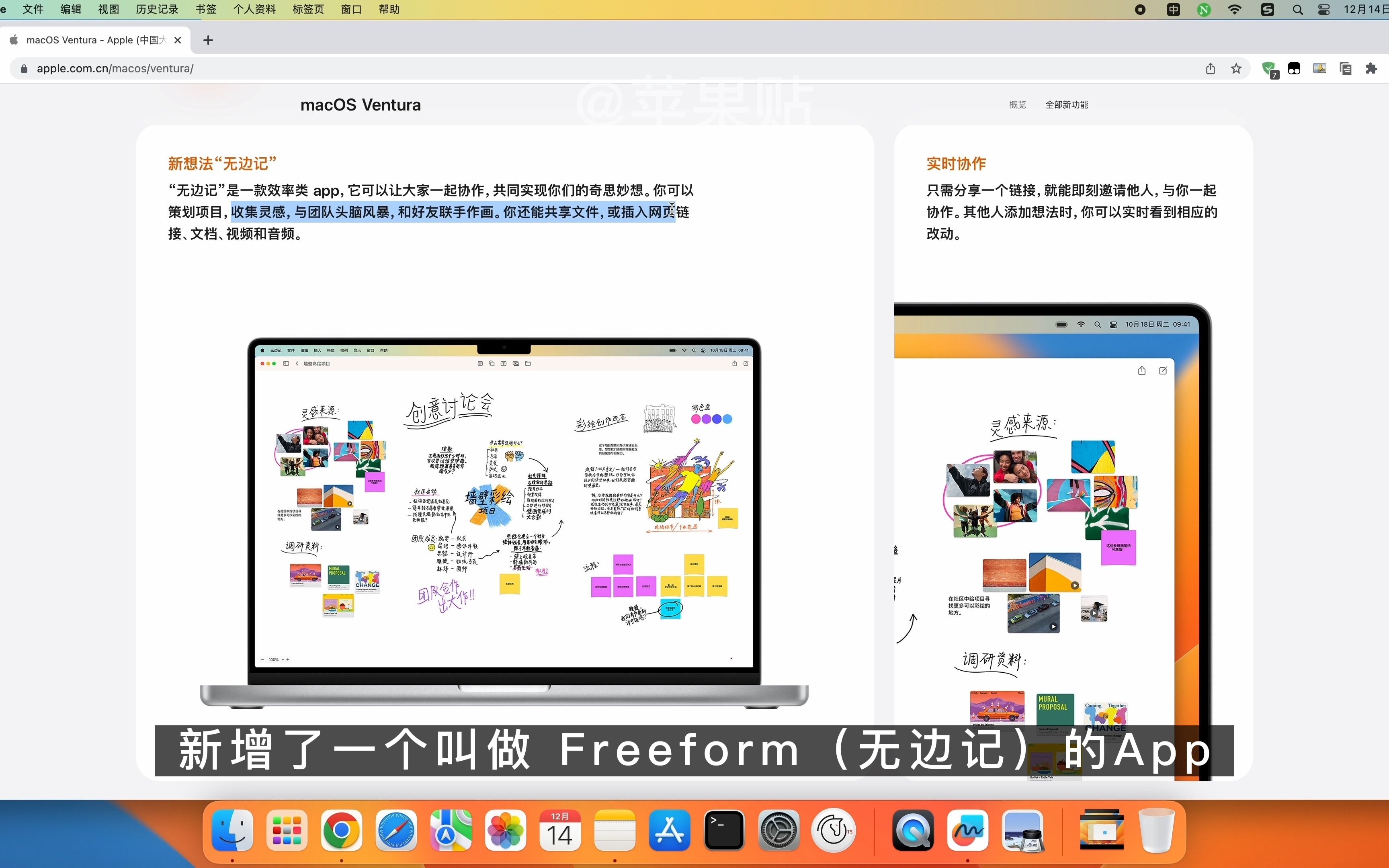 【苹果贴】苹果电脑MacBook新手使用指南:Freeform无边记哔哩哔哩bilibili