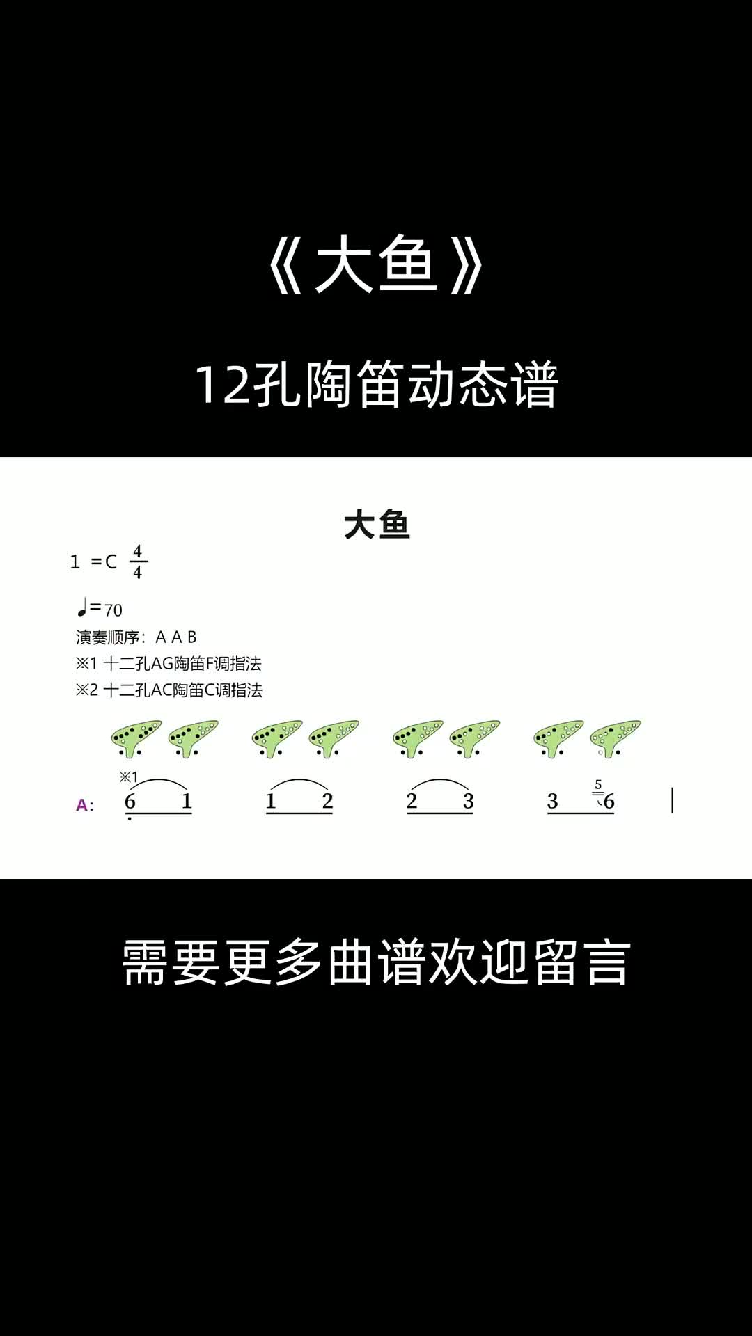 大鱼12孔陶笛动态谱陶笛松音乐器陶笛教学乐器教学音乐乐器大鱼