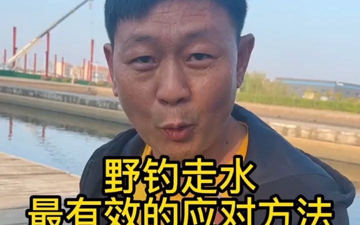 野钓流水该如何应对?大家还有什么其他办法吗?哔哩哔哩bilibili