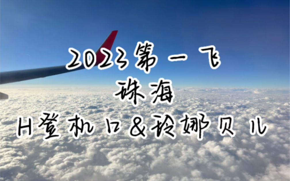 上海浦东机场两大特产:H登机口&玲娜贝儿哔哩哔哩bilibili