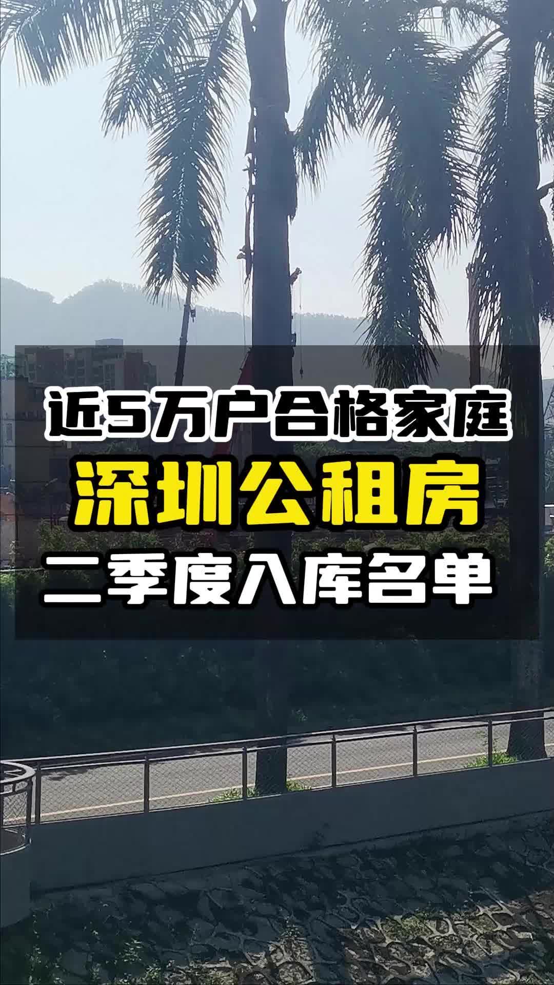 近5万户深圳公租房家庭,即将正式入库