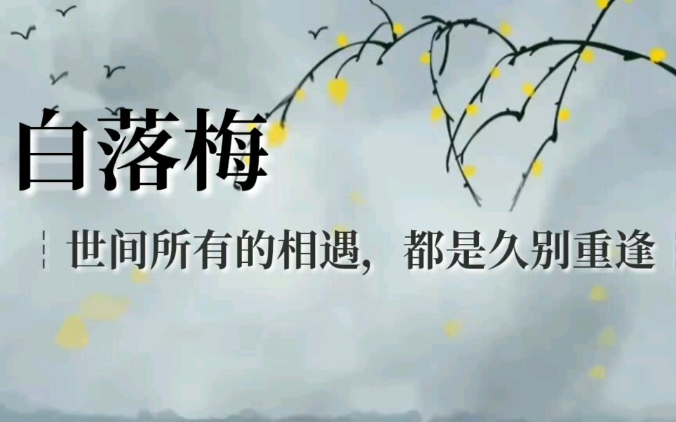 白落梅┆落梅风骨,秋水文章哔哩哔哩bilibili