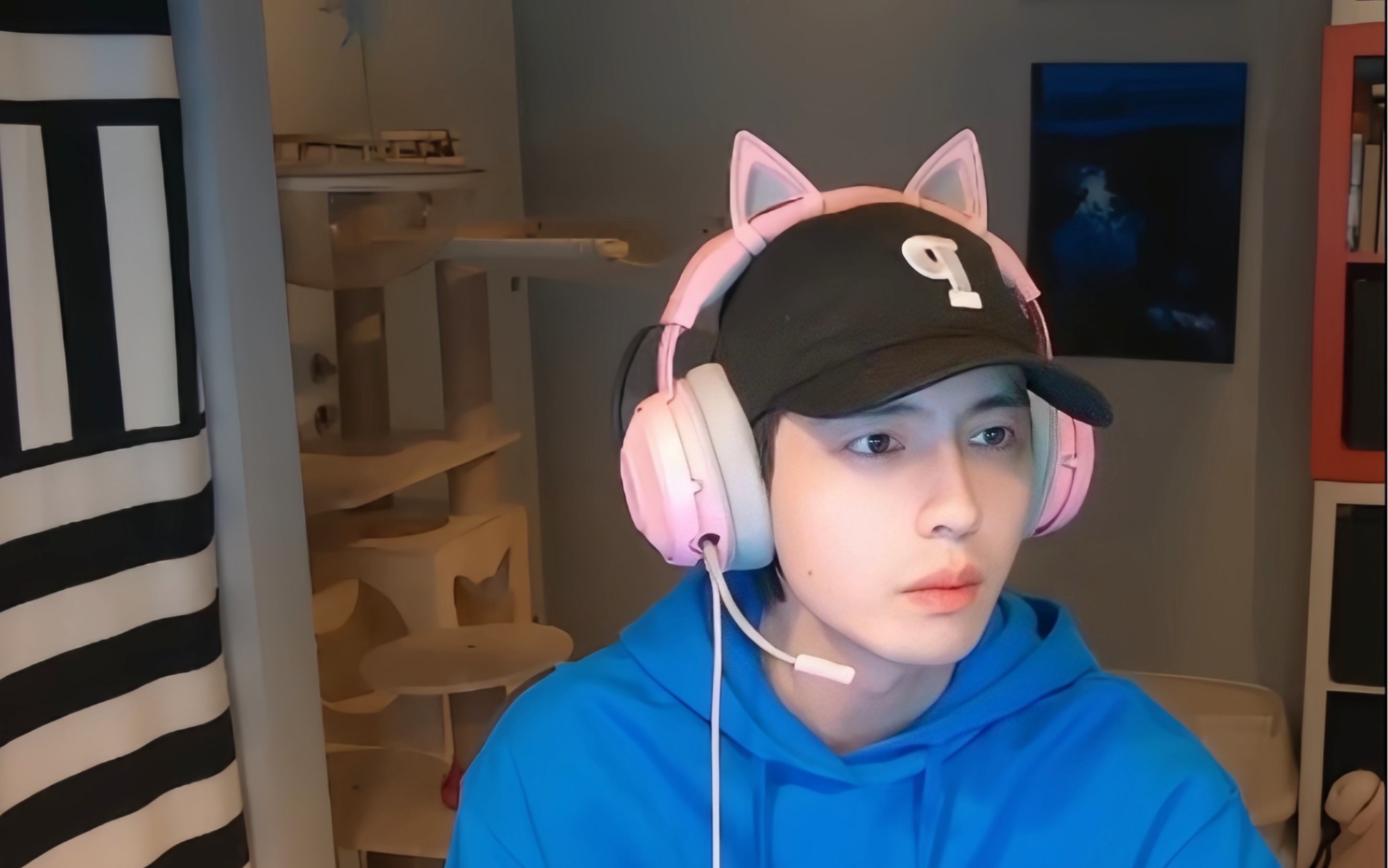 20231125蒲熠星直播录屏(心灵杀手2)