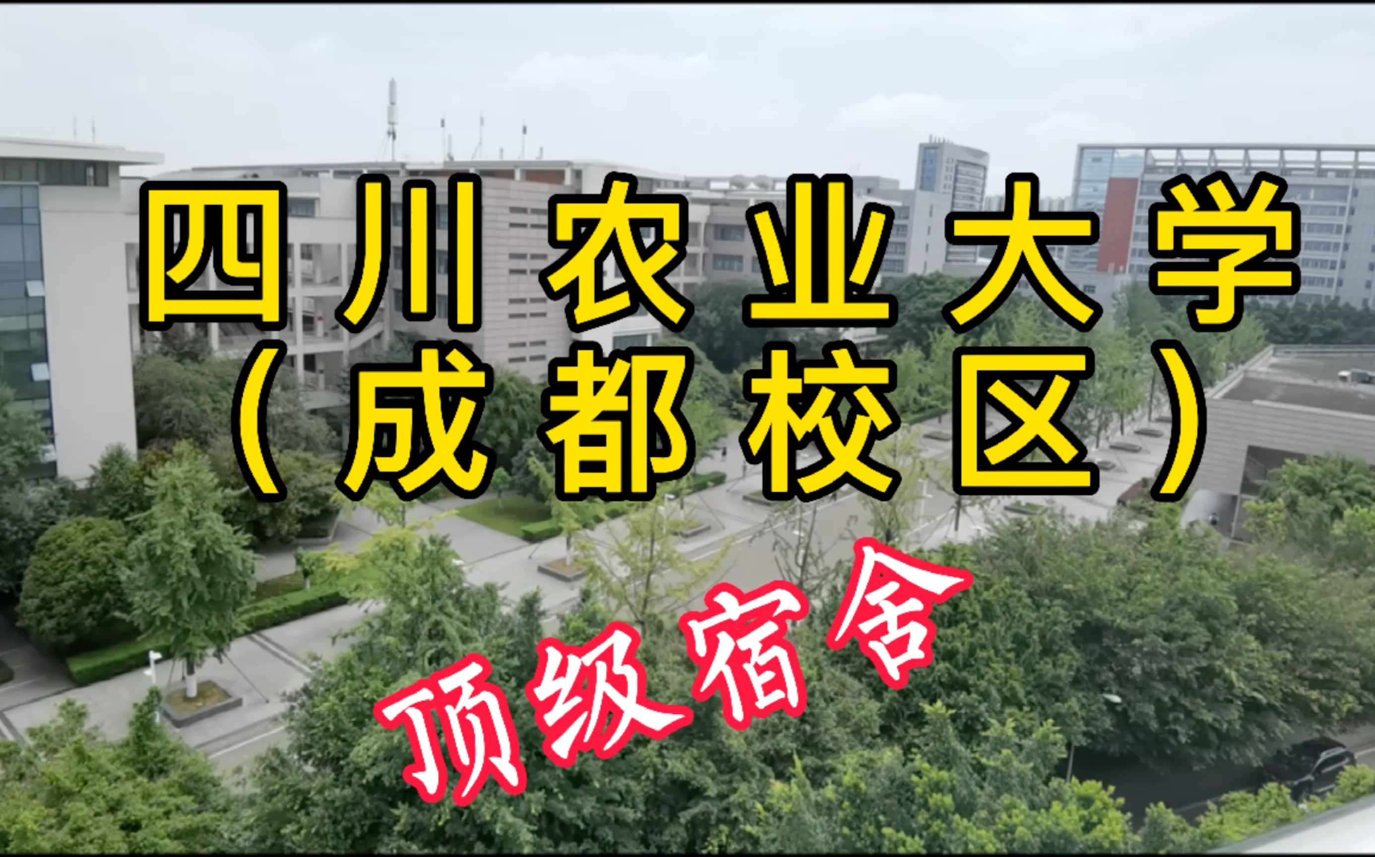 【四川农业大学(成都校区)】这不比招生简章好使?哔哩哔哩bilibili