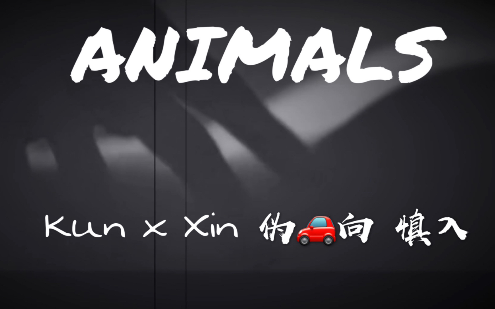 [图]【蔡徐坤x刘雨昕】坤昕-Animals｜车向慎入