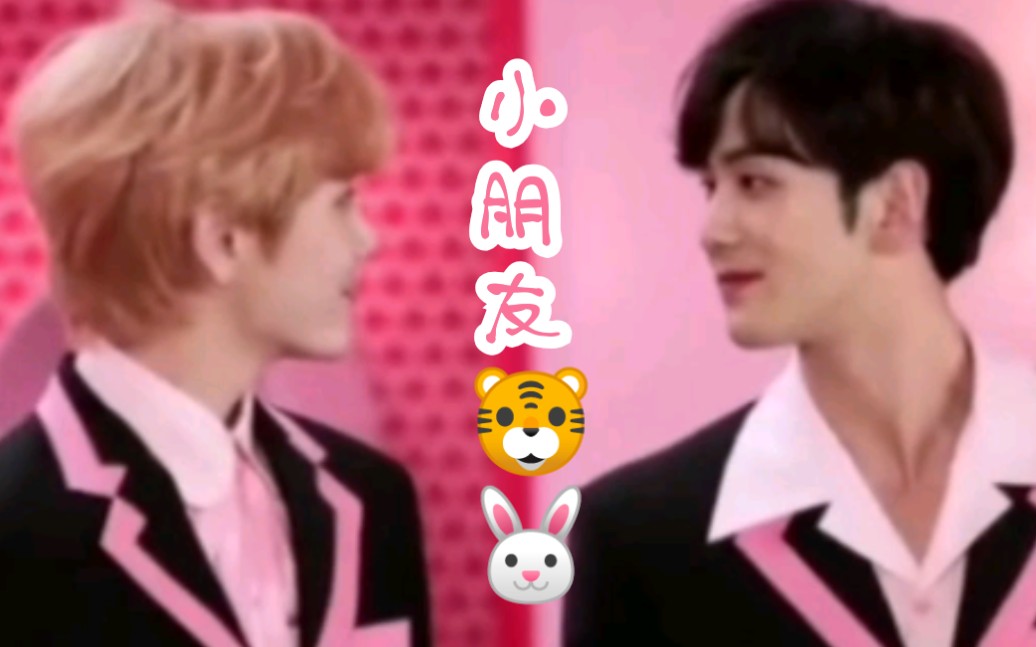 baekren姜东昊崔珉起虎兔cp小朋友