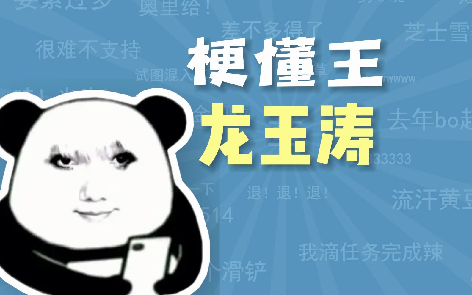 龙玉涛是什么梗【梗懂王】哔哩哔哩bilibili