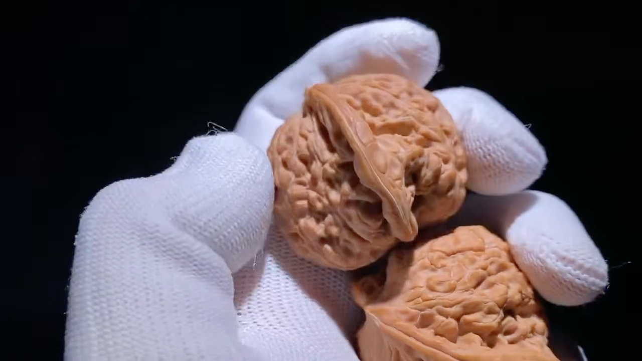 龙洞峪野生狮子头