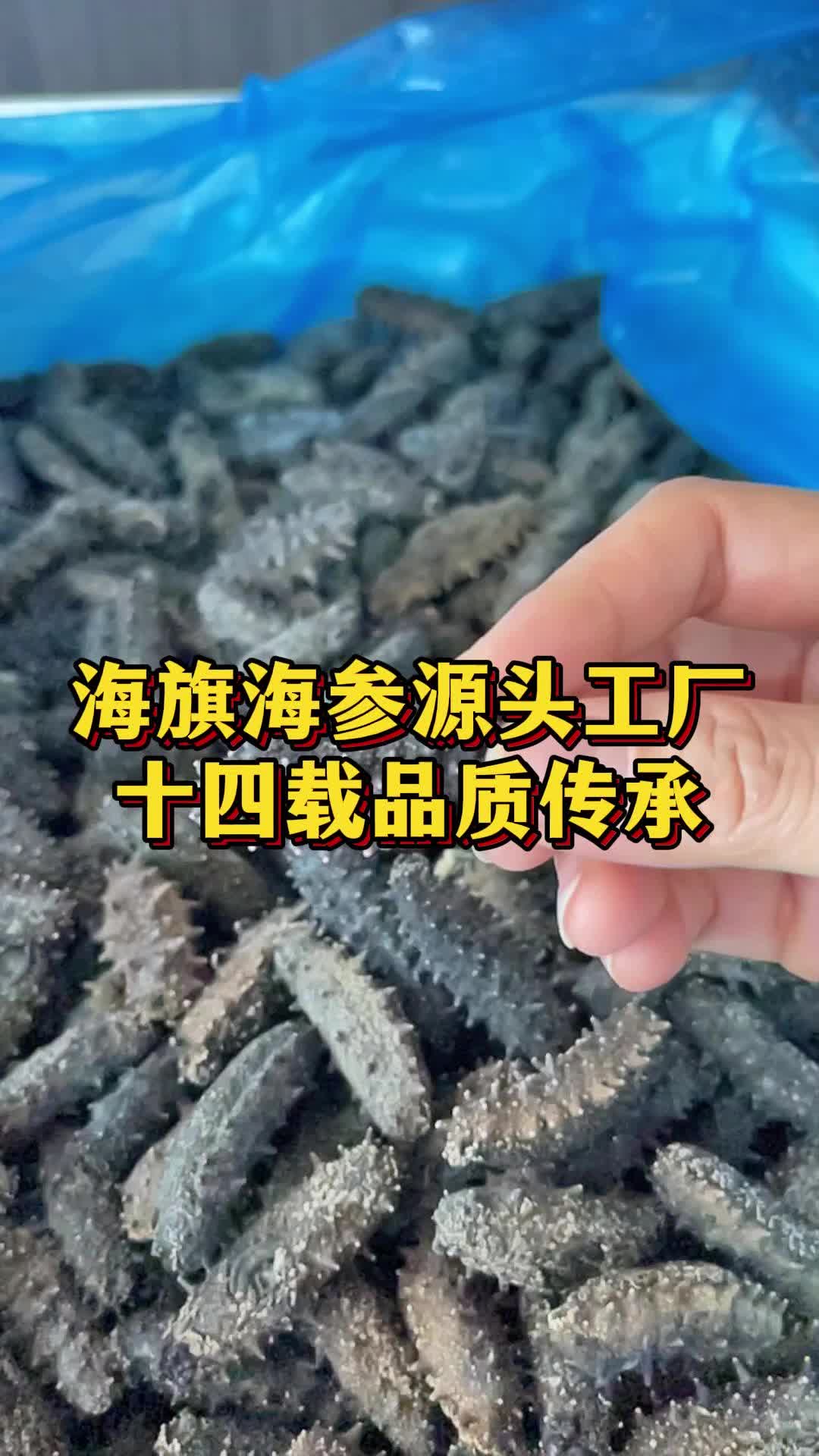 海旗海参源头工厂,十四载品质传承,把品质服务放在首 位,选择海旗海参,就是选择信赖与品质.哔哩哔哩bilibili