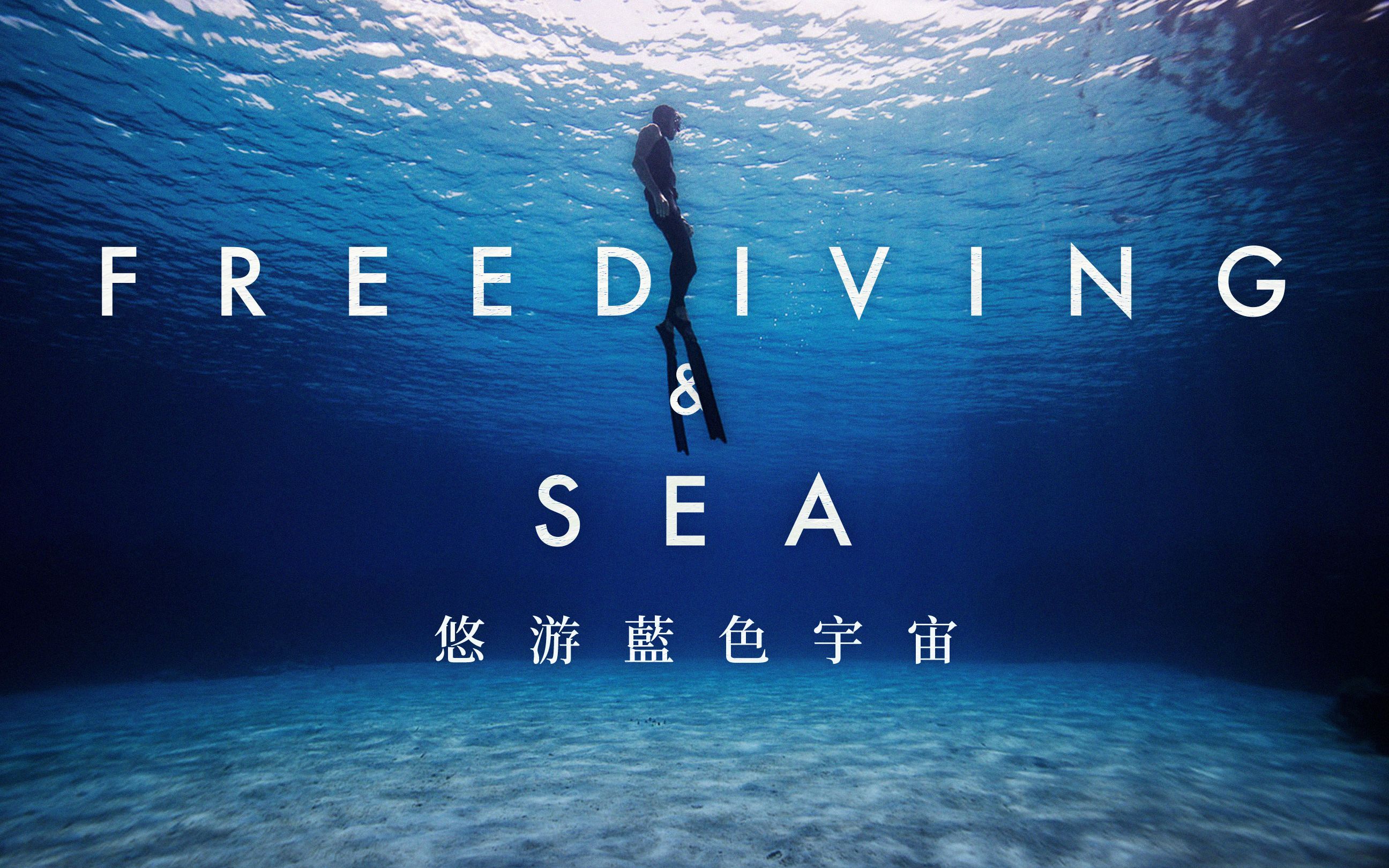 自由潜水究竟有多神奇来和padi的大佬们一起感受海洋的魅力gadiopro丨