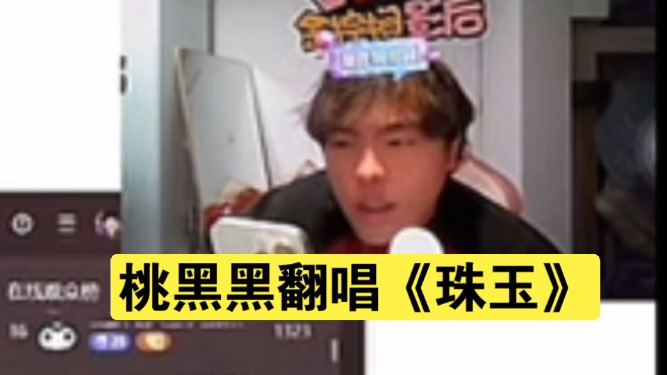 【桃黑黑】翻唱单依纯《珠玉》！！那很天籁了。