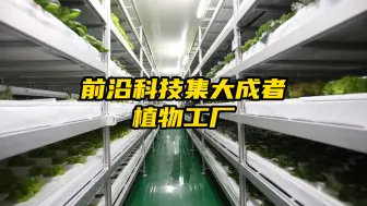 Скачать видео: 前沿科技的集大成者-植物工厂